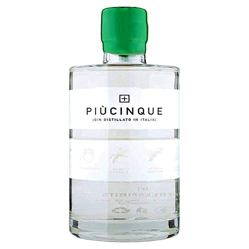 GIN PIÙ CINQUE 2 LITRI