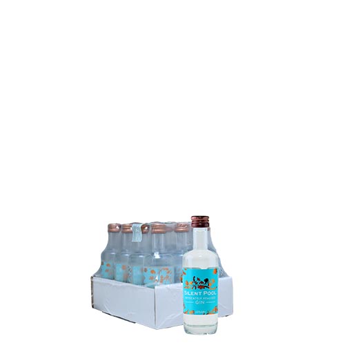 MIGNON GIN SILENT POOL 5CL
